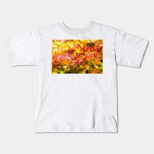 Maple tree red and orange autumn leafs Kids T-Shirt